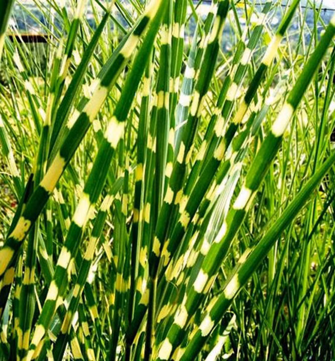 97e15425dfa1804b1d9471662d5f8fd0