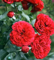 98364480a8694ab7daba322e494f0f18