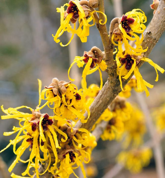 985728095430c55d3bbb23163ca15366