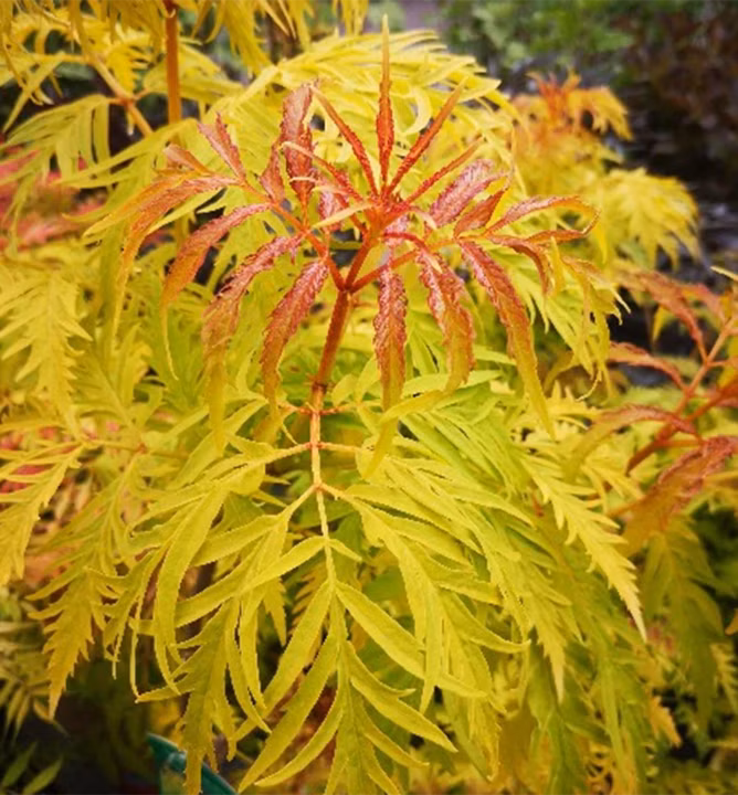 9879f73a28bc28b293e85980fd925b9b