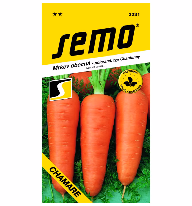 99067096f7dab341f79cd9af7515bd38