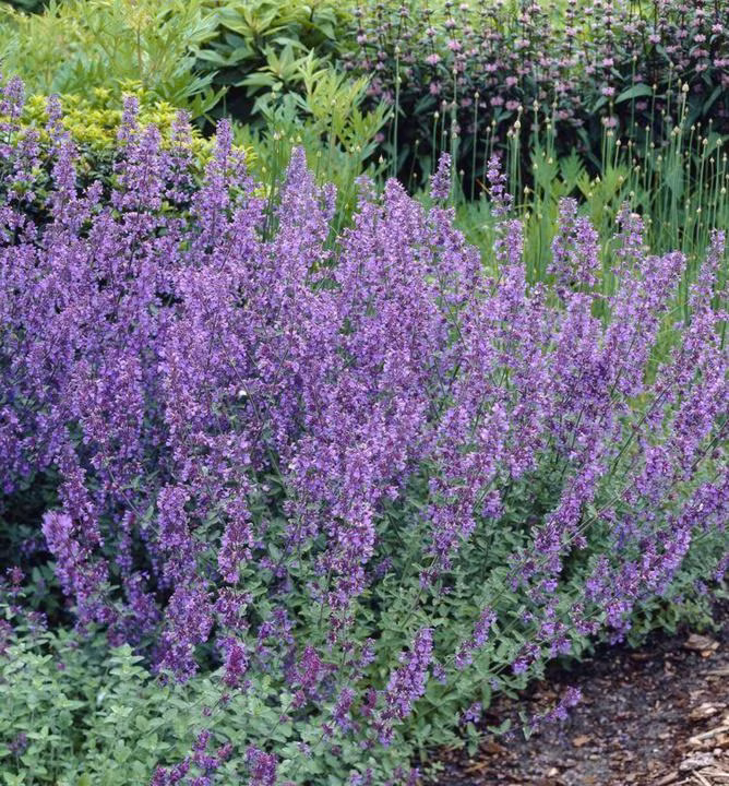 9944a19f22ab674077a56390f2a3752a