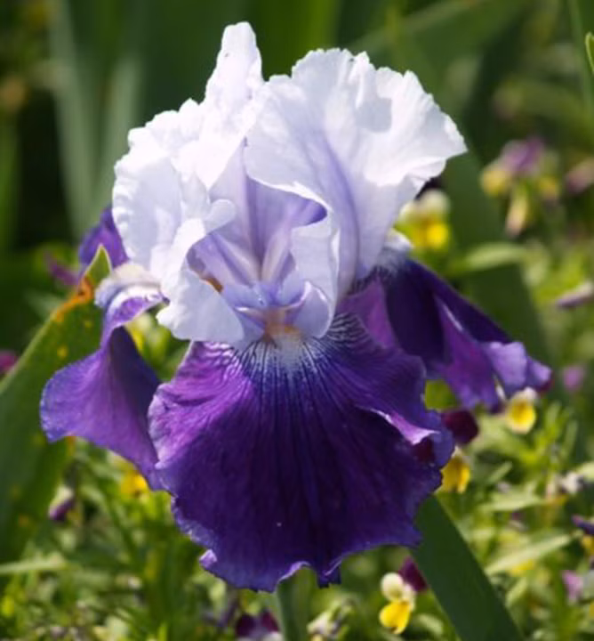 996d0b5e5afdd678d693dfd4a67a2b0c