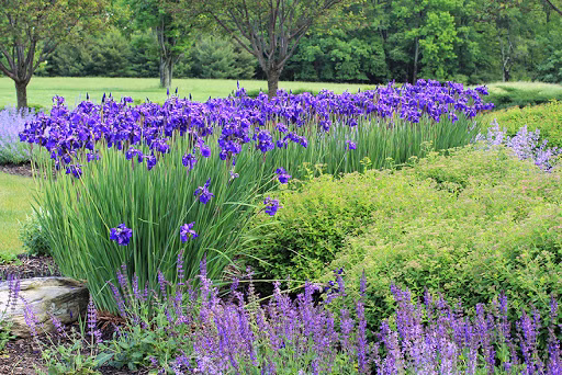 999d9b45c94a4ecb9fbebe8fa0795028