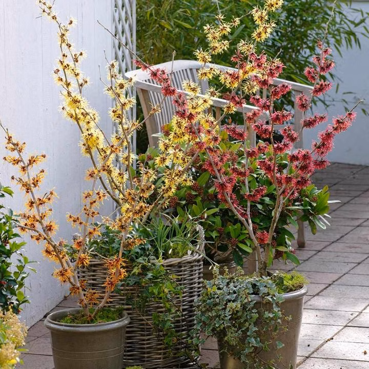 99d2d29299cd5ed6e0b09863cf9aa2ea