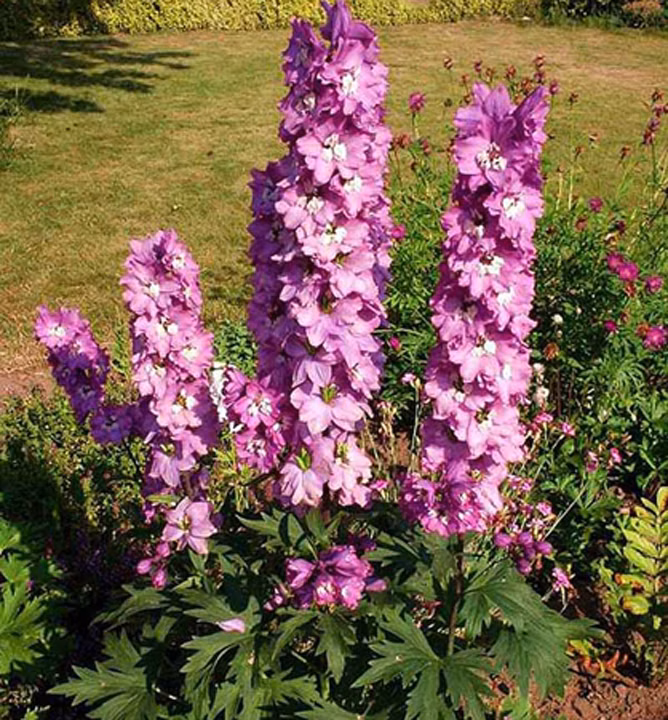 99f1ec8f6c14b106979ce3c392d83443