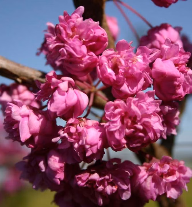 9a5d423c330b9e33c069cf88657b312c