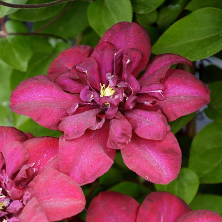 9a61146a147a2d64a021db28b9993e3b