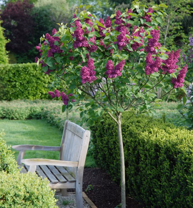 9aa814c74aa35f1f25b0d535399396f0