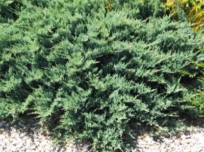 9b2241cba94d4bf62a152db63b842884