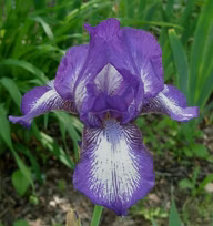 9b7cc4310f71ee20ecf3a922ca545ada