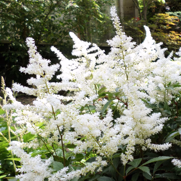 9b83999e45d397185e9fd93f7f5c47b9