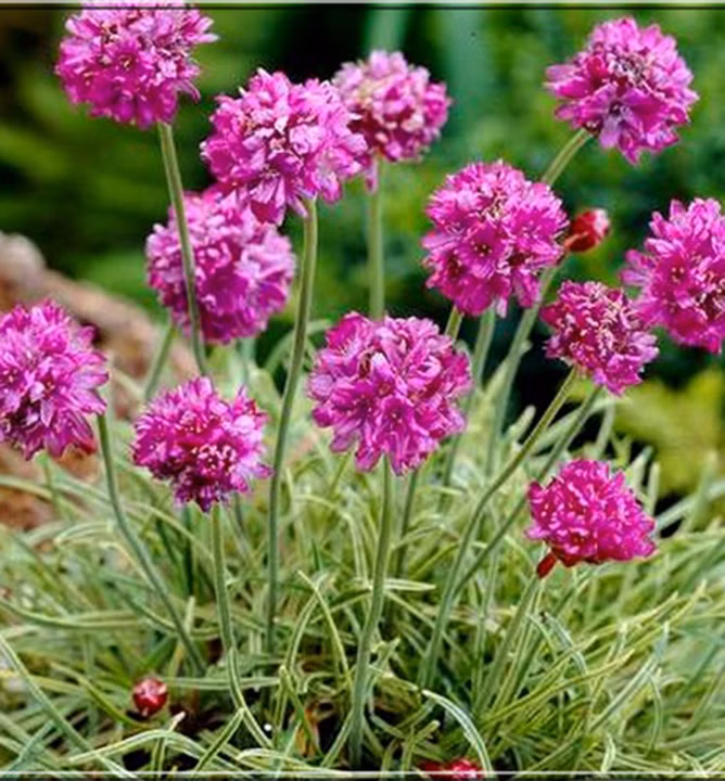 9b88ec38ab6fc8042d5b0c7d01f59e74