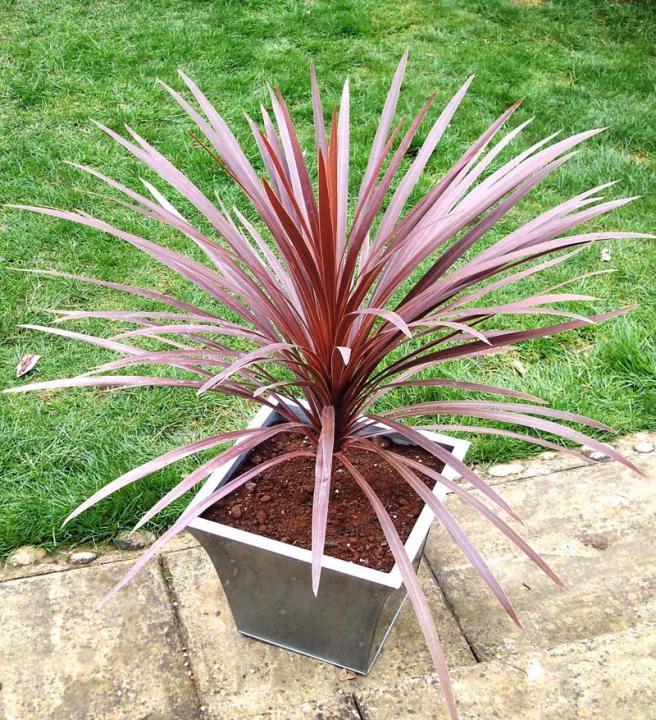 9b91a4b86950a912be8e6d0b6c549c12