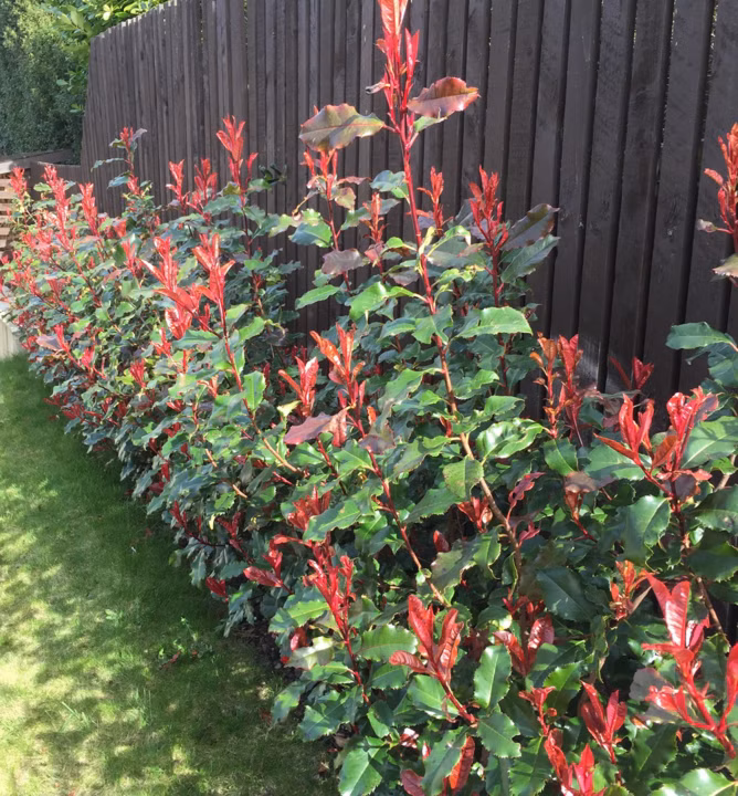 9ba698bd2eb19d630381efb23e10d981