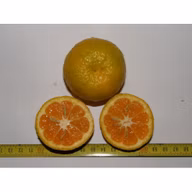 9ba8ccfa56c0b6c0009819ef5025748b
