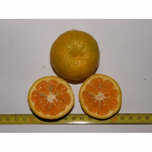 9ba8ccfa56c0b6c0009819ef5025748b