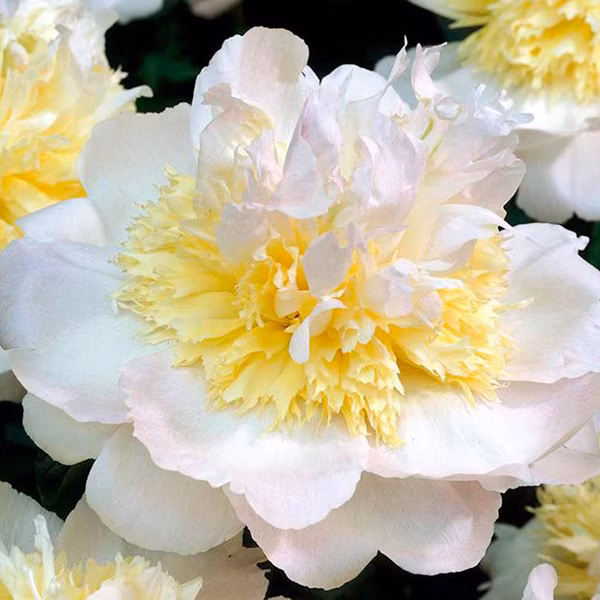 9bafbfa86d139f8b35f7a2fc4083095b