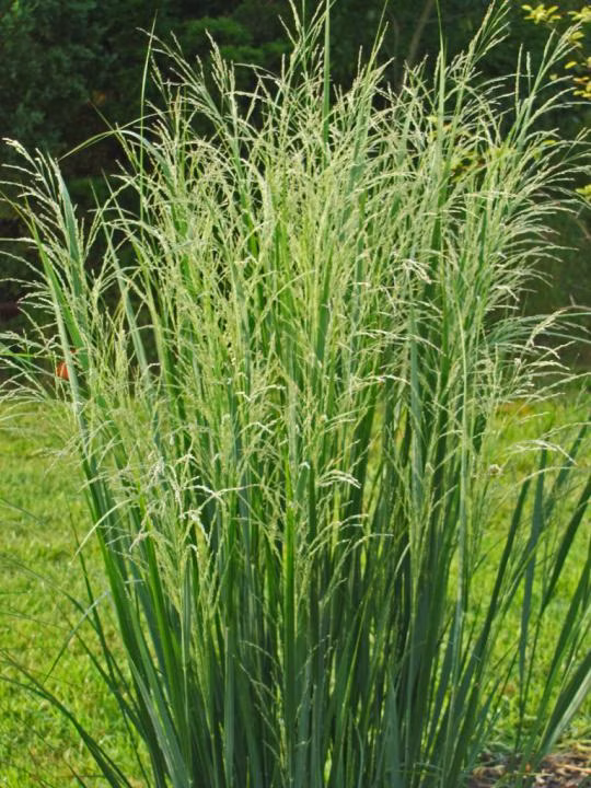 9bde73af19b3c555afc47d5978f8ff36