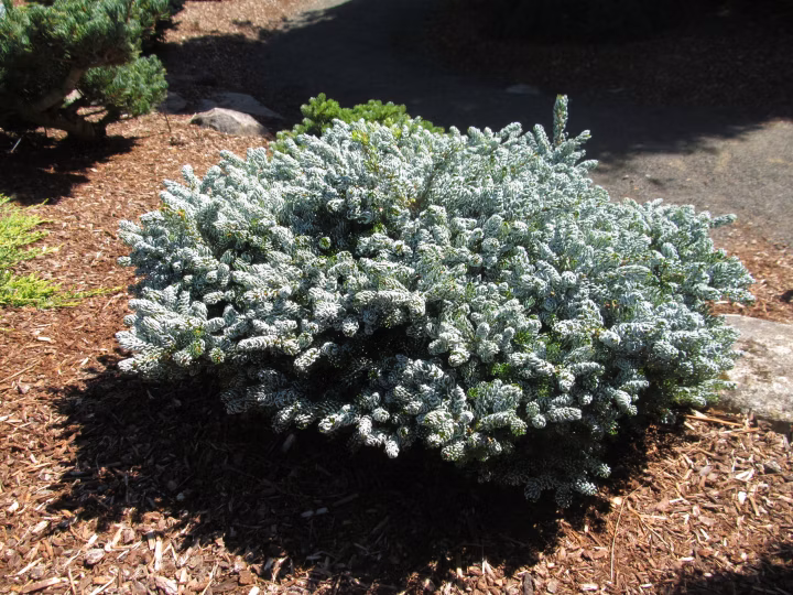 9c79537e3fc4fd24289554120a054274