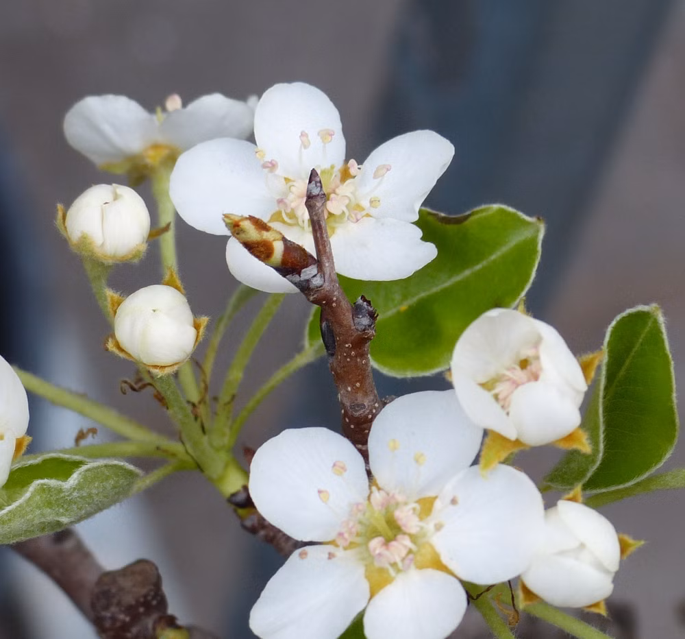 9c7bbb2afe8f5d62621447dcc5befe9c