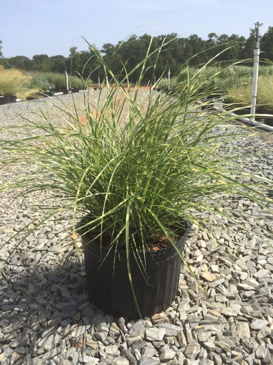 9c92fe9eb97baf81f0729deab6b22248