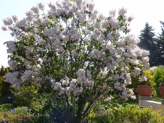 9ca98549db175e12da892bdfe87a8307