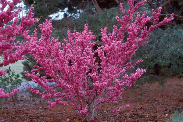 9cb10c796005689f39a784271e340ef8