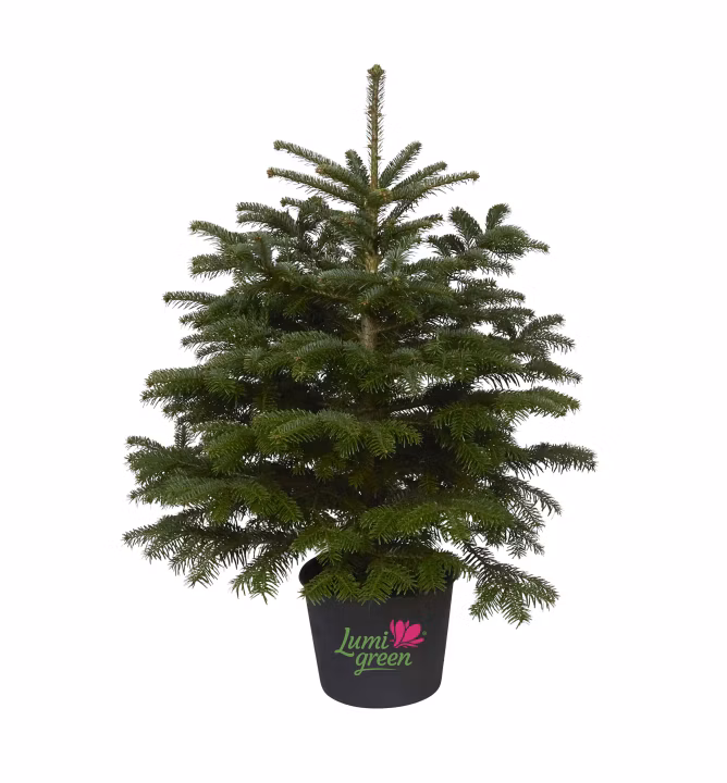 9cc9e6f1b0ede7c8ce62f91729c1987e