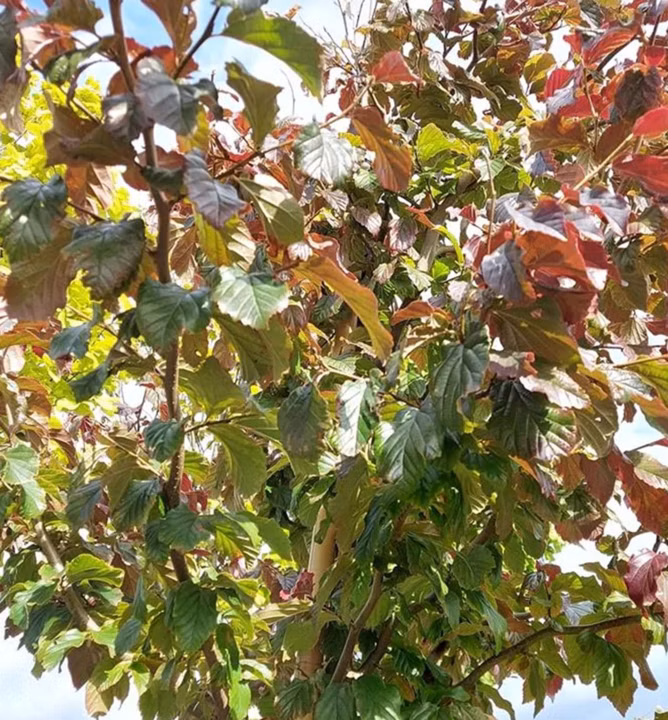 9ccbff9a58febd658f4afde720fdd2b8