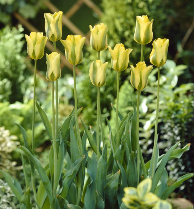 9d2522139b70edde2457b49d82cc75b7