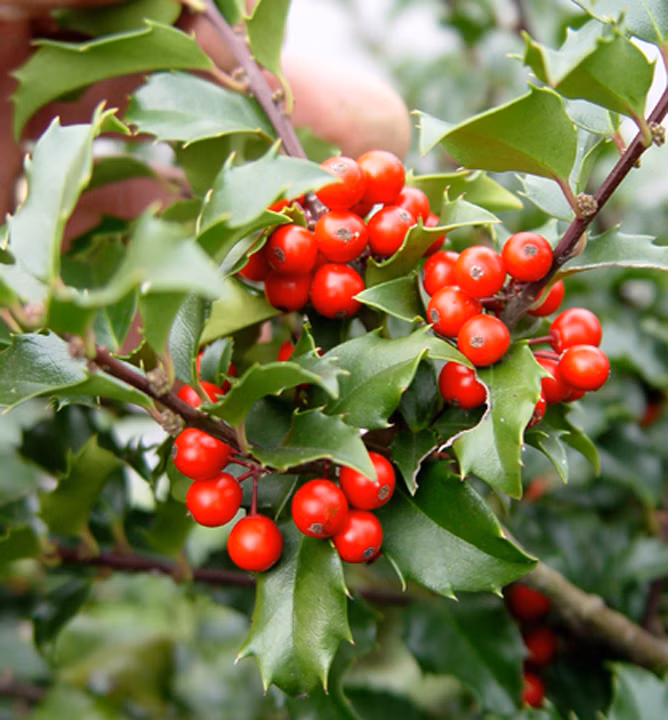 9d44f27f80dd4df57df52c638124908a