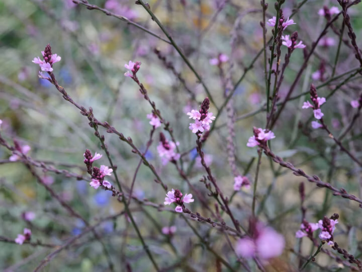 9db26d25005c6852c78b76c210f657ff