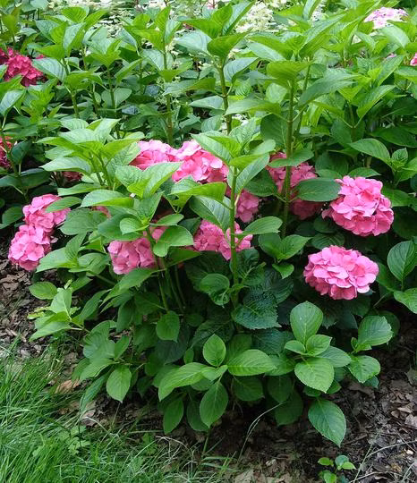 9dd9322f8534c579f6b634210ff076a6