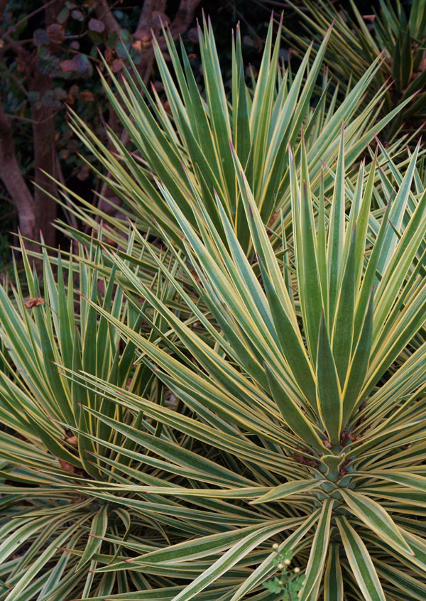 9dda1d421a0276ac9863c69cf9dc90ca