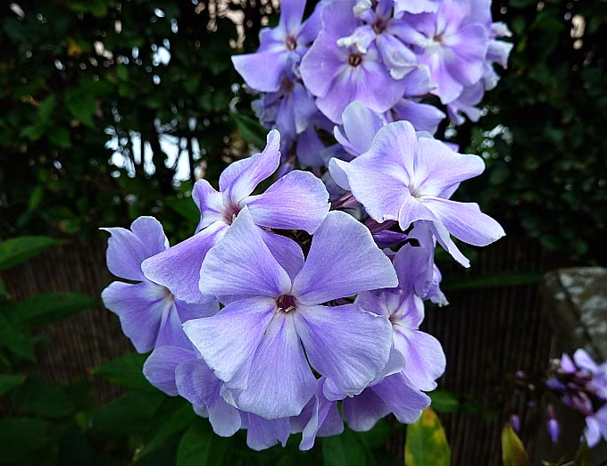 9ddbd8b25b0dc719c515605e631bbcee