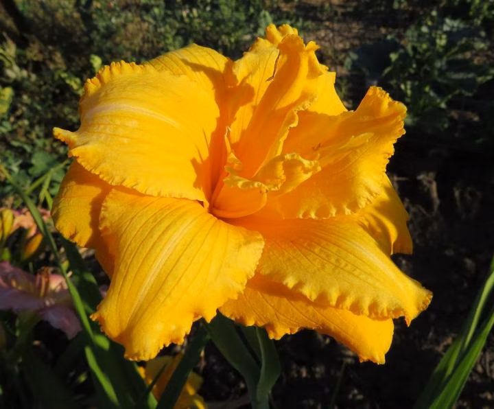 9df0b09d7bf0577b4e9adaddacc36cda