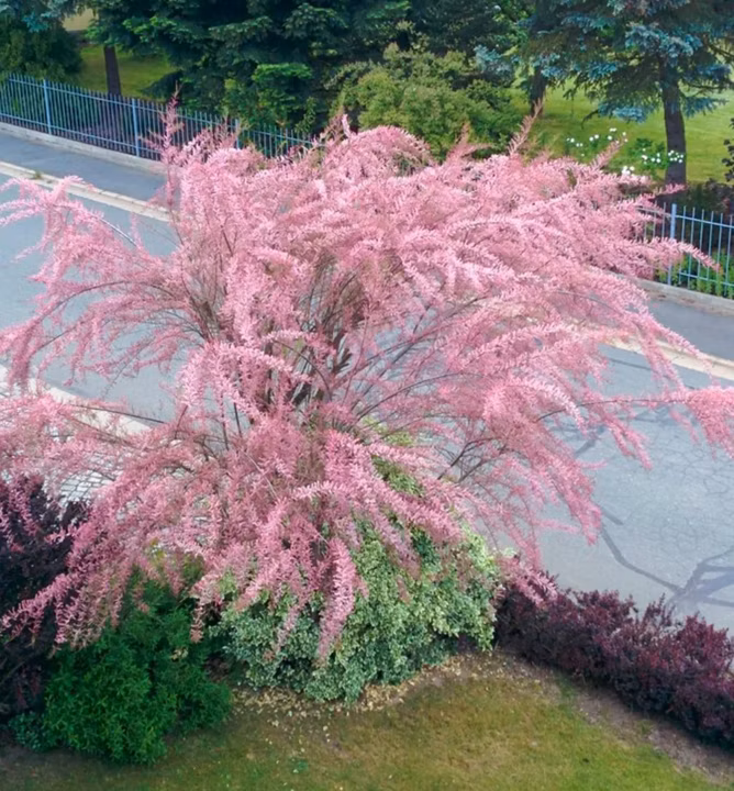 9e329fd92332c4ff966c523ee2c87eea