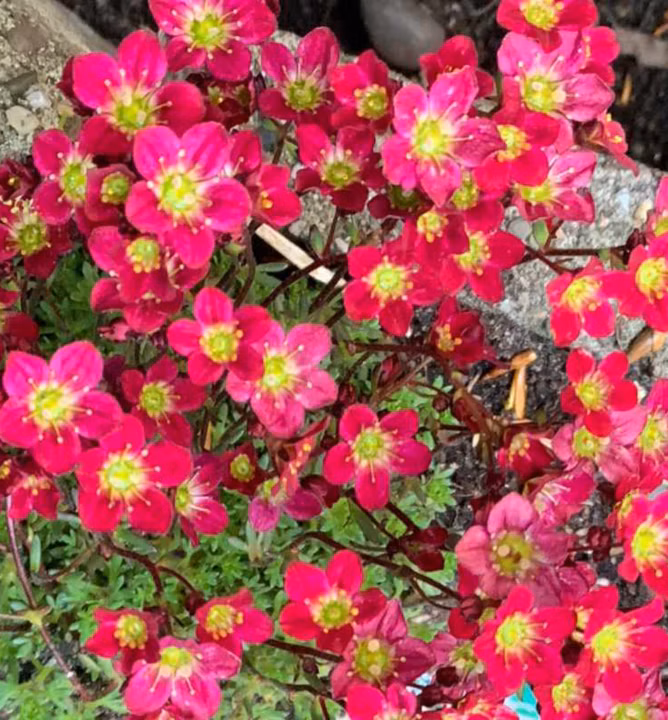 9e76ef650c15e8f4b0075b361c1fef3b