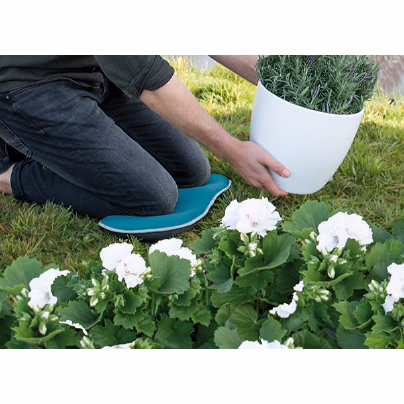 9e98249e0b013762072b2c5d3a1b3221