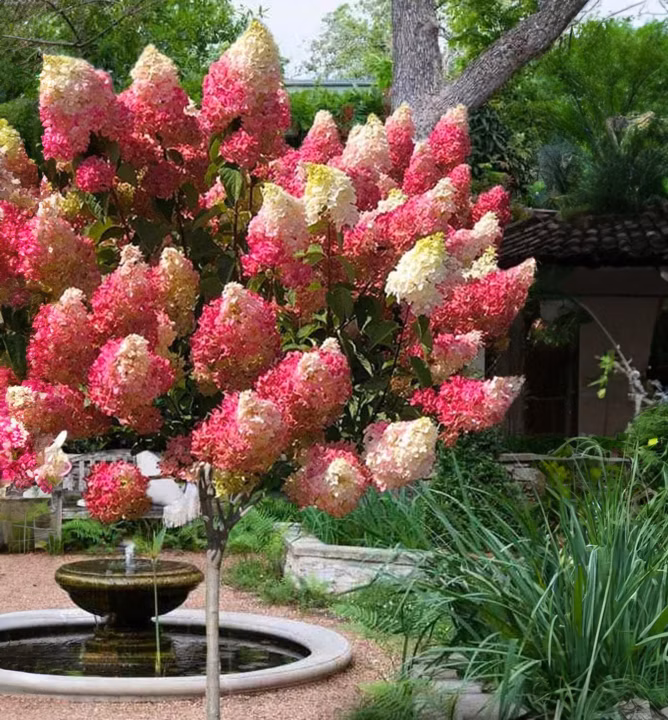 9e9dfb8ab17242e4490e8adc6caf498c