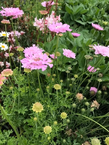 9eb96a5a87a1d5ee871b21ca02136c14