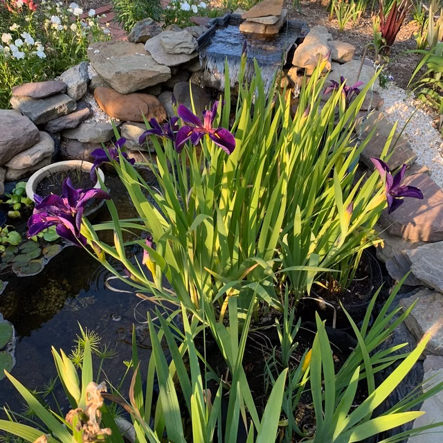 9ee932db9c055a46259b8d6320bce4ff