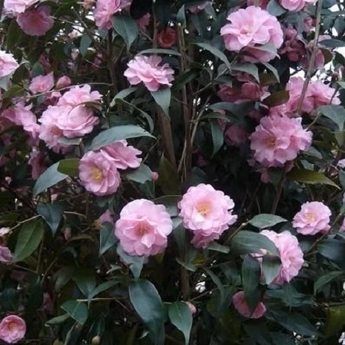 9f19a6aafe61d1942a76a90fc3c2fdf7