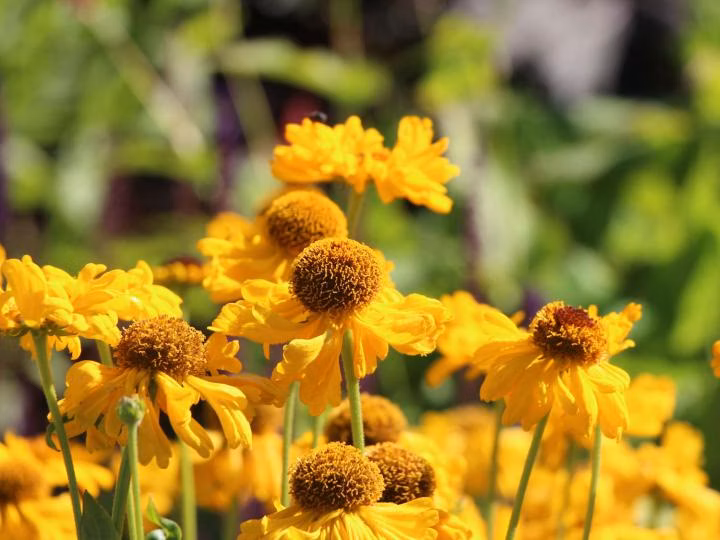 9f260f67ea8ffde52484a86ed9956d55