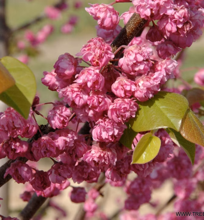 9f3578d847cfc32381852ab3c06b7dfd