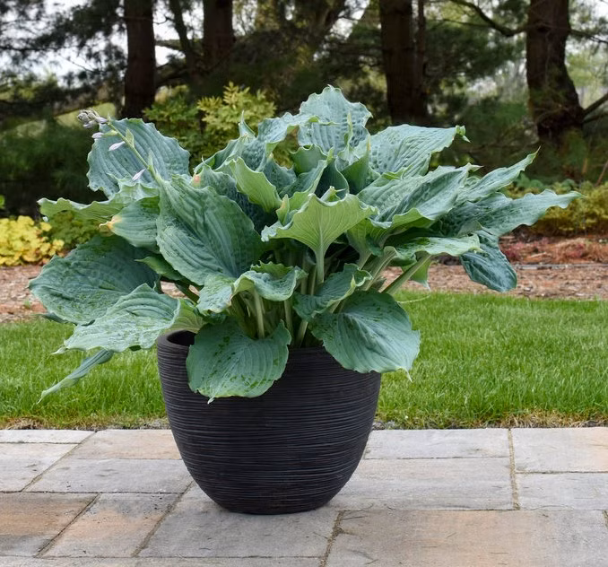 9f54aecde42fd97999b72de59648a4cc