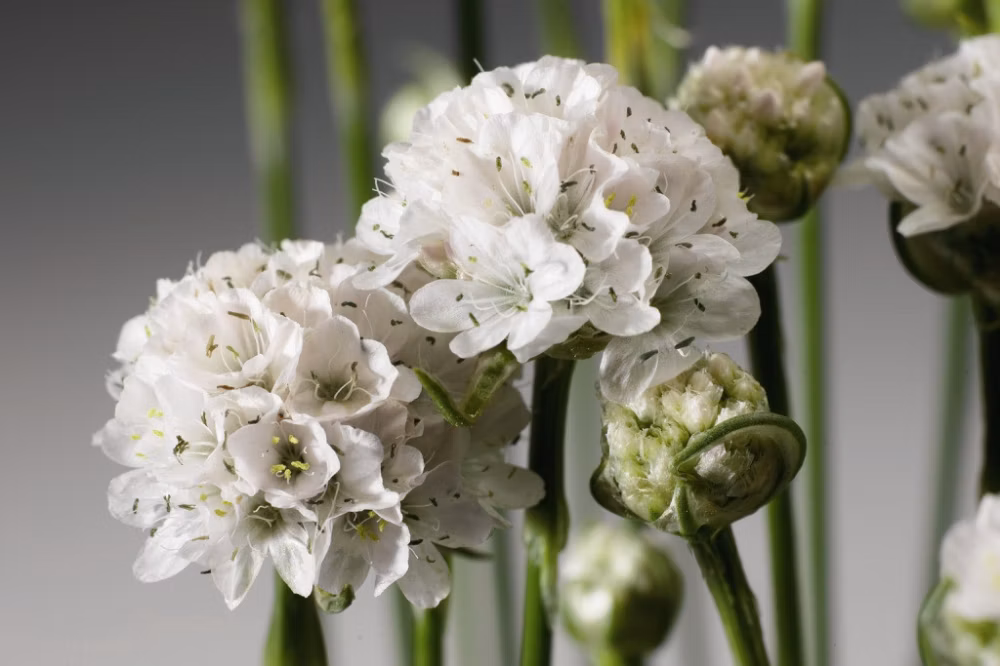 9f7ecb5e11032c1ced389c40b9644655