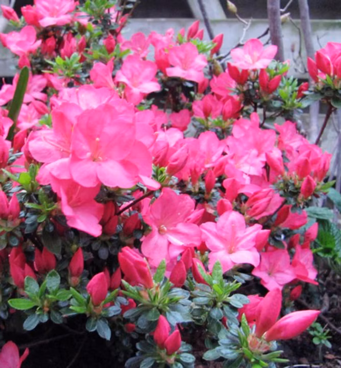 9f9ace1293d9fe8f1f335ca72f4541c1