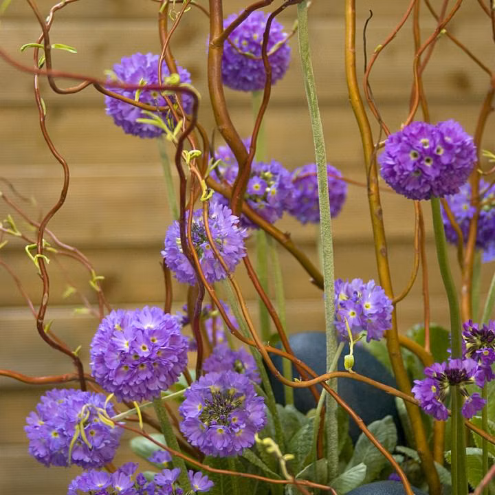 9fc0e1871ed81d16cd925620b8c1518d